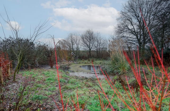 Photo 41 of Cuijkseweg 2-A