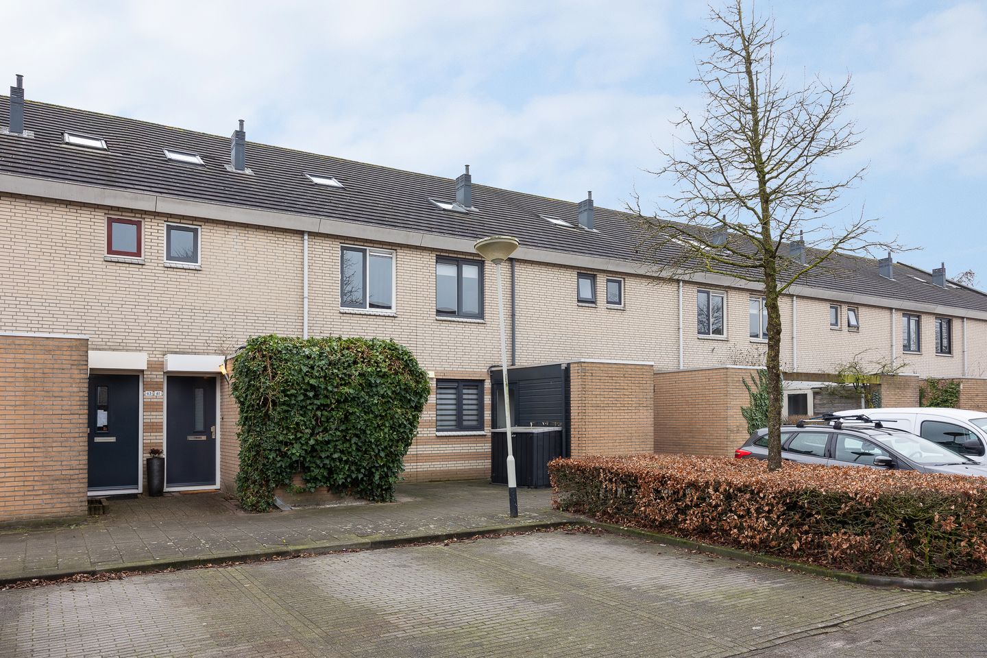 Foto 1 van Blauwoogvlinder 61