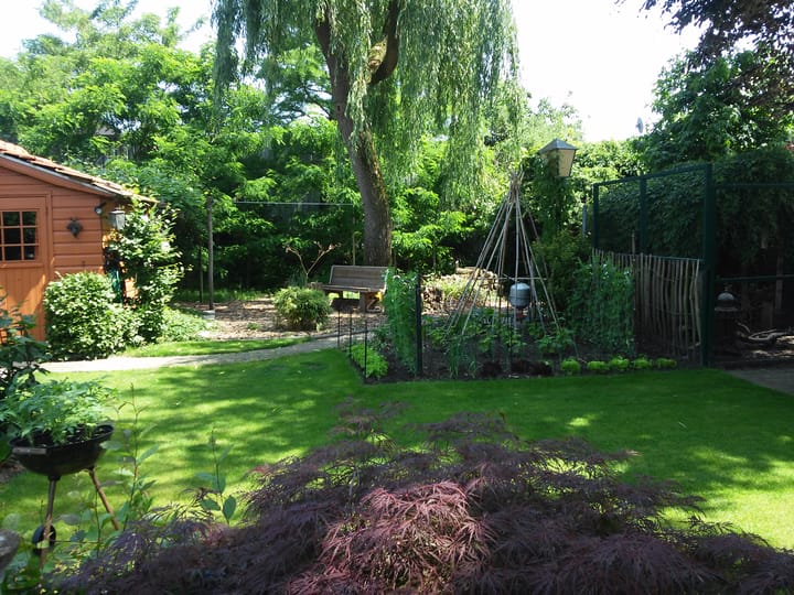 Foto 4 van Randweg 13