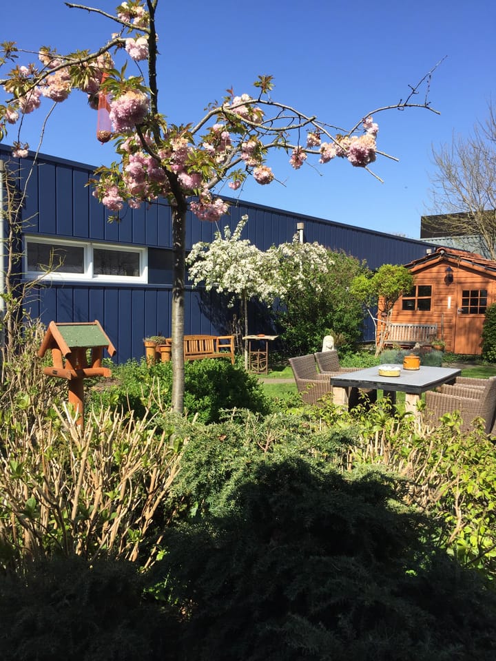 Foto 31 van Randweg 13