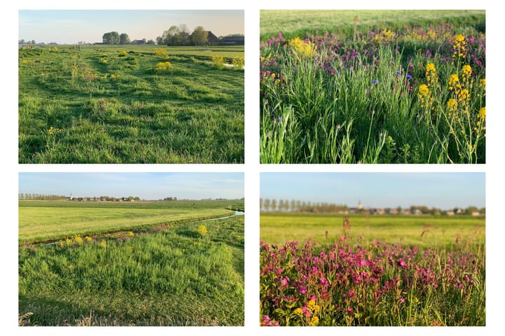 Foto 72 van Nessenwei 12