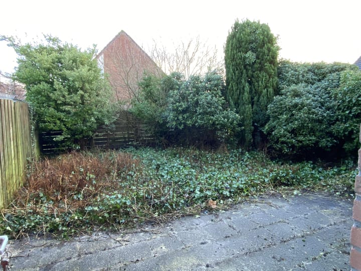 Foto 11 van Karperveen 101