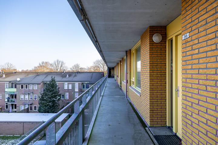 Foto 5 van Linnaeusplein 42