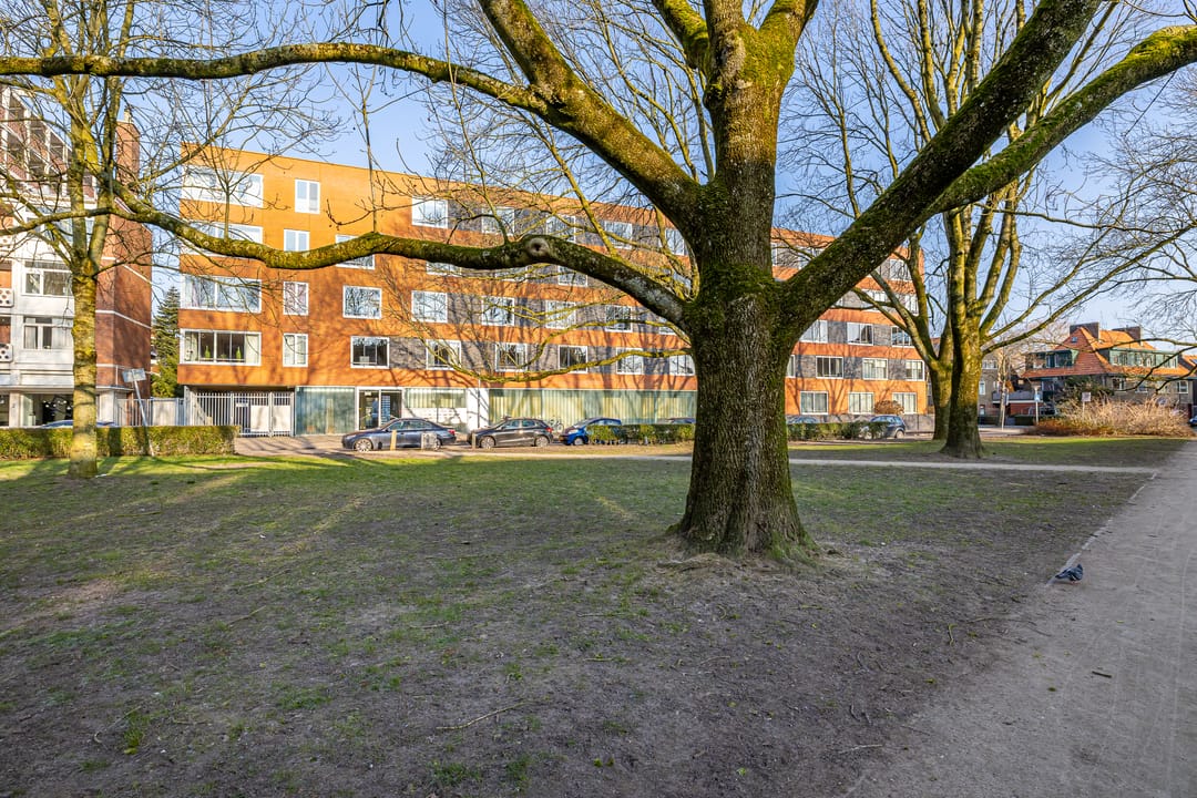 Foto 2 van Linnaeusplein 42