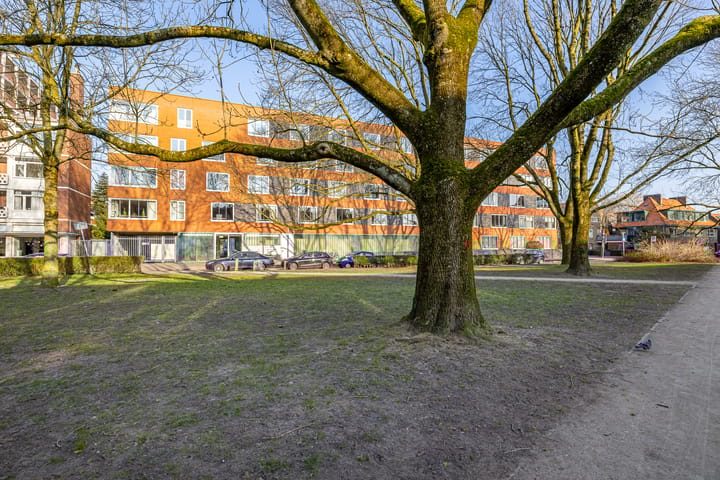 Foto 2 van Linnaeusplein 42