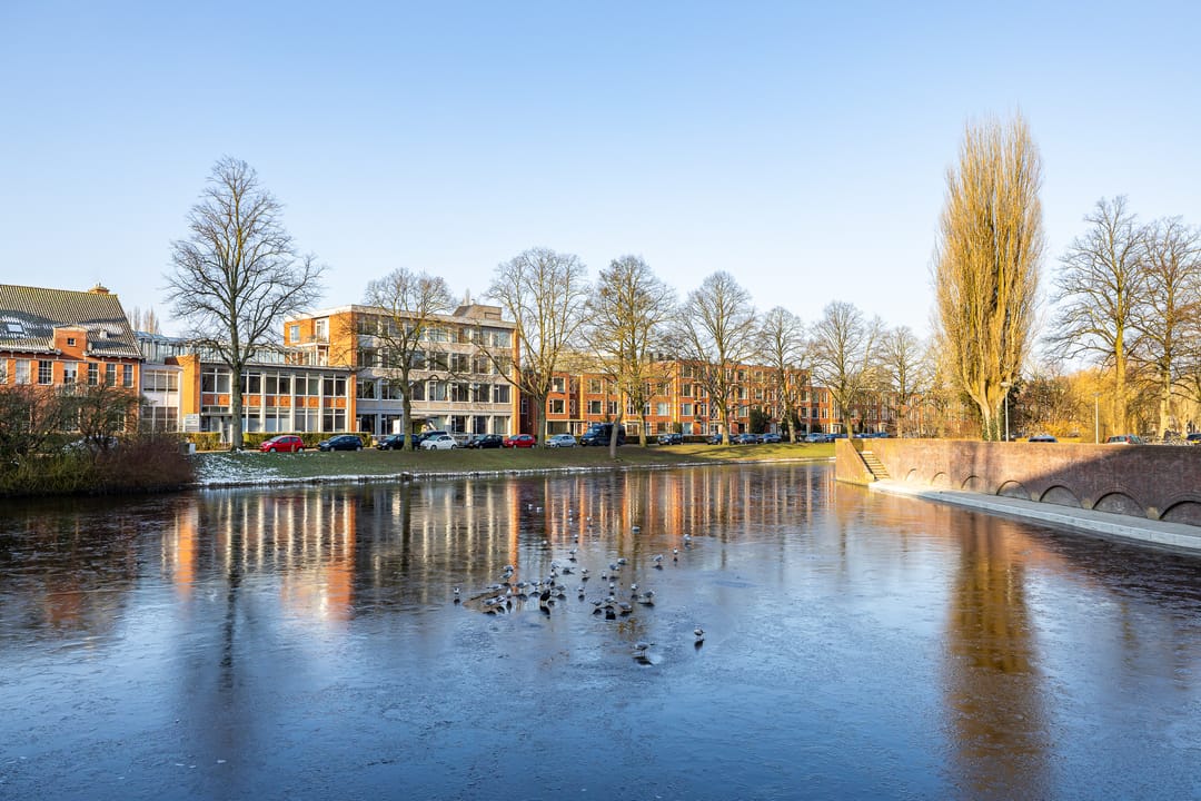 Foto 32 van Linnaeusplein 42