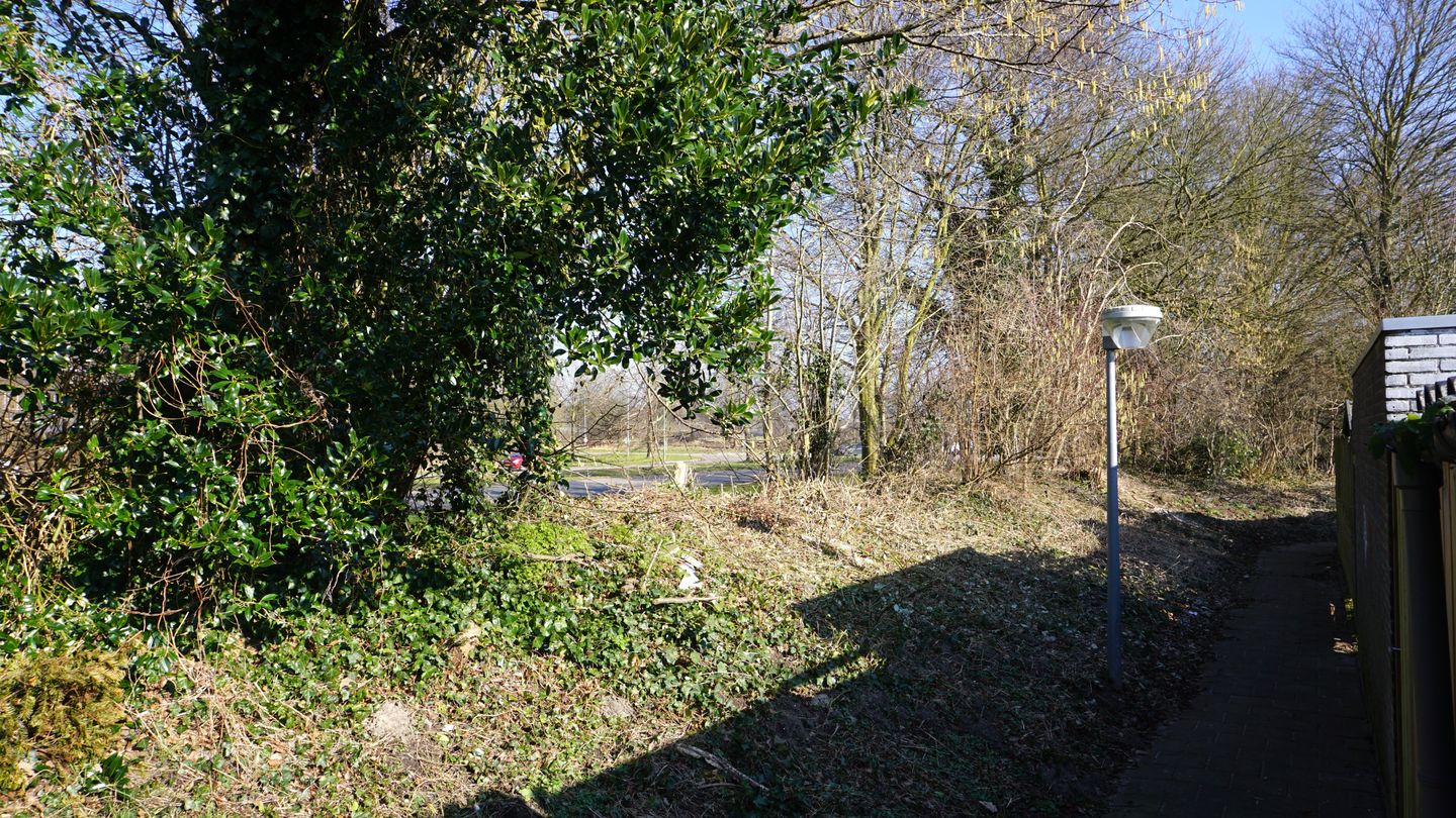 Photo 19 of Rozengaard 15 11