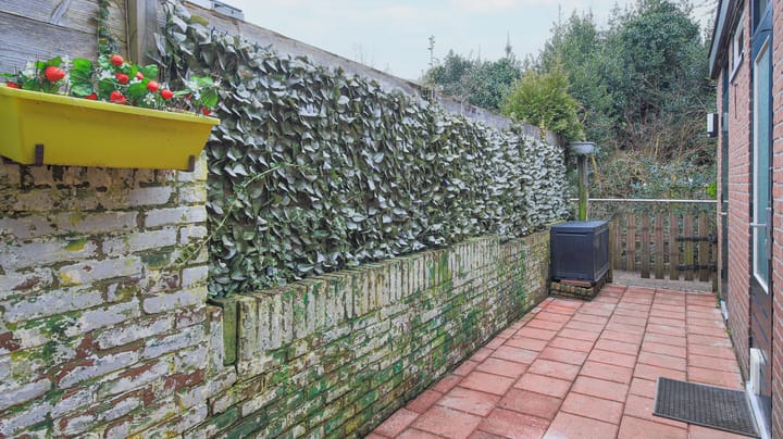 Foto 20 van Bloemendaalsestraatweg 164