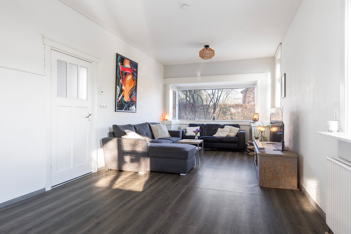 Foto 4 van Pieter de Hoochlaan 1