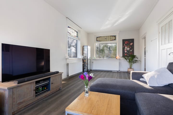 Foto 5 van Pieter de Hoochlaan 1