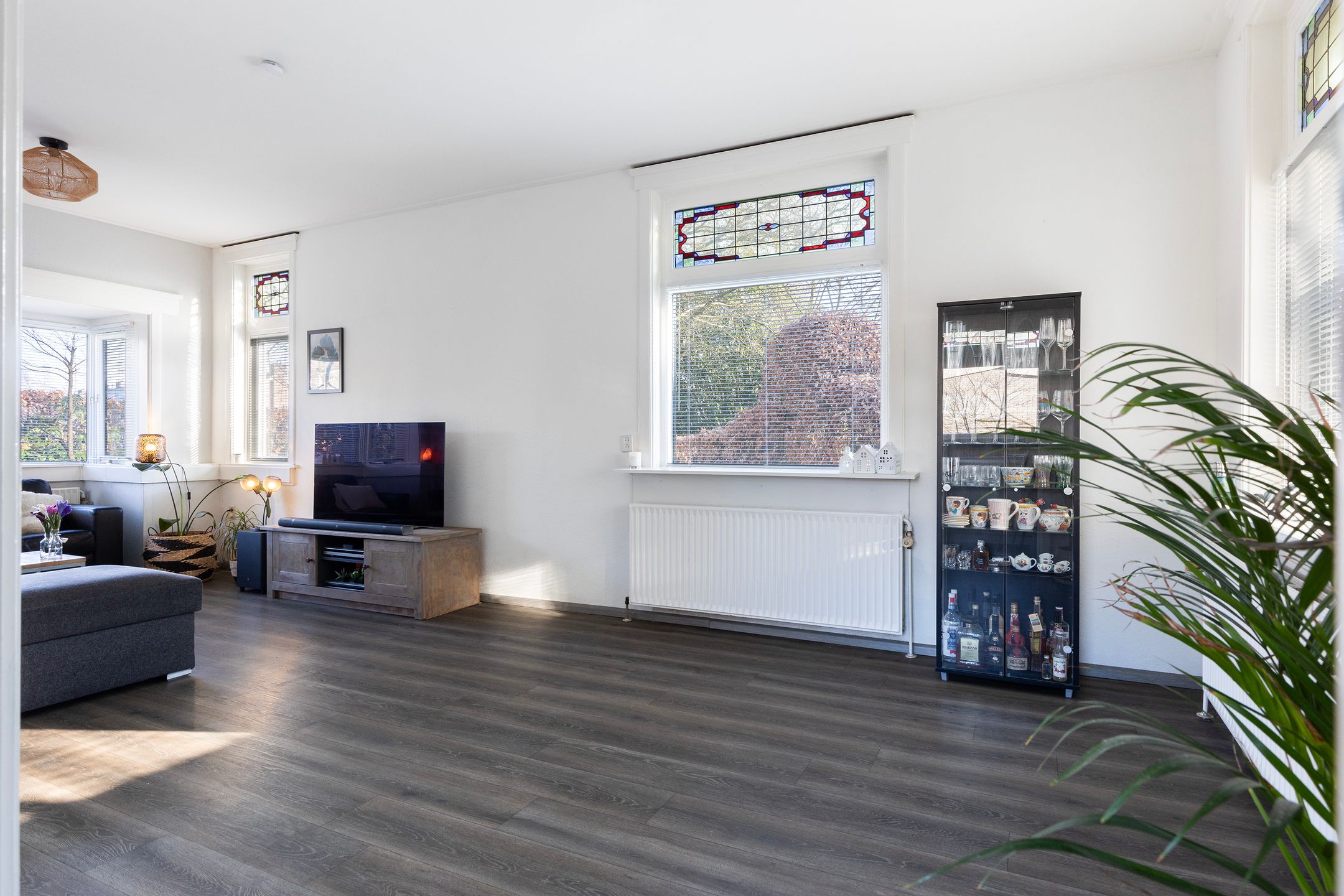 Foto 6 van Pieter de Hoochlaan 1