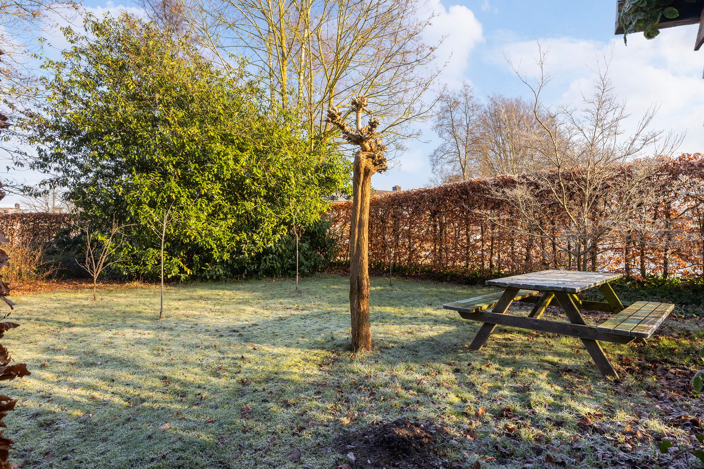 Foto 35 van Pieter de Hoochlaan 1