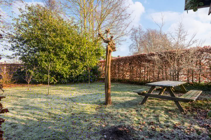 Photo 35 of Pieter de Hoochlaan 1