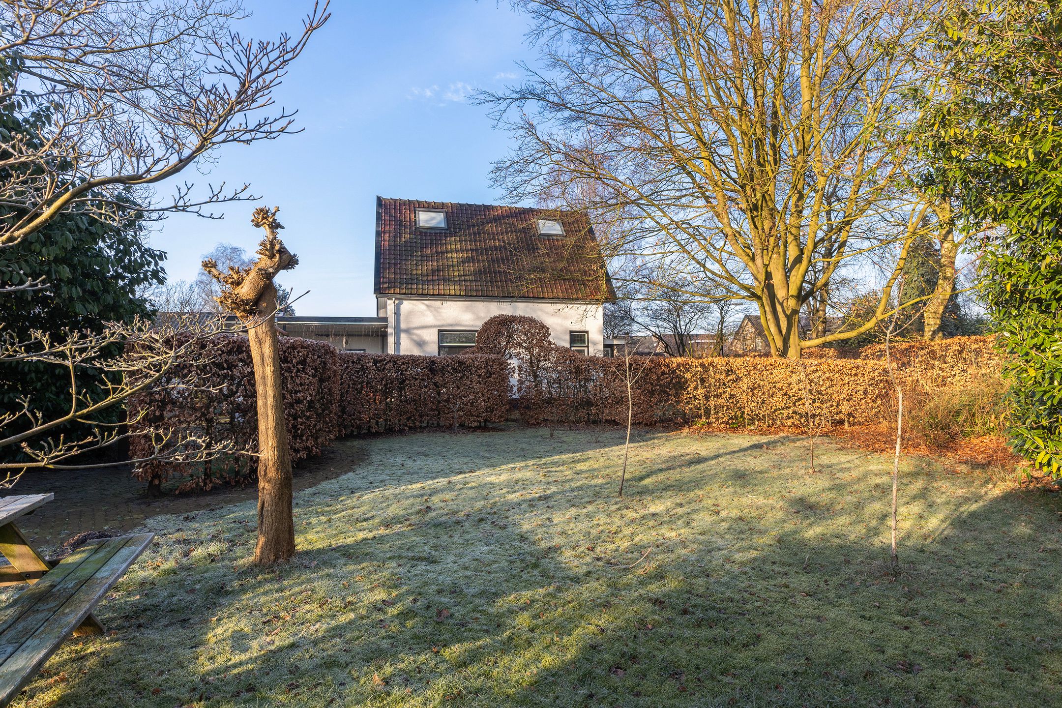 Foto 36 van Pieter de Hoochlaan 1