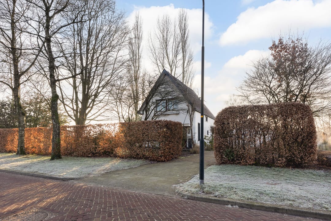 Foto 41 van Pieter de Hoochlaan 1