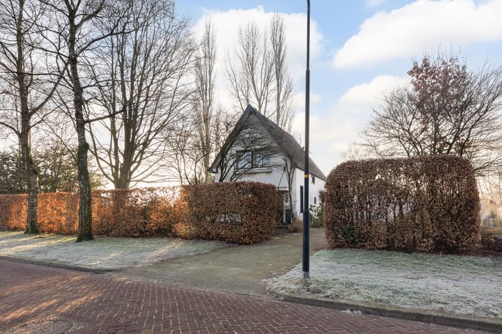 Foto 41 van Pieter de Hoochlaan 1