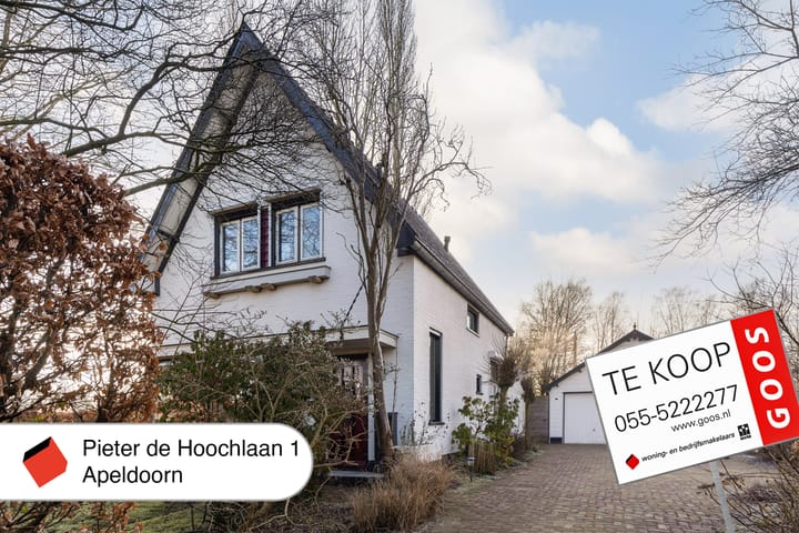 Foto 44 van Pieter de Hoochlaan 1