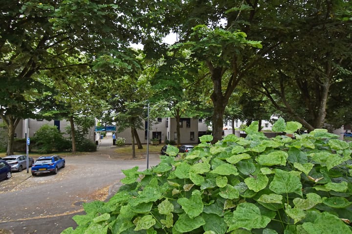 Foto 30 van Nystadstraat 6