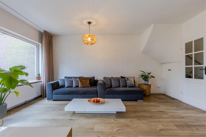 Foto 1 van Buizerd 100