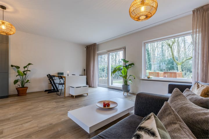 Foto 4 van Buizerd 100