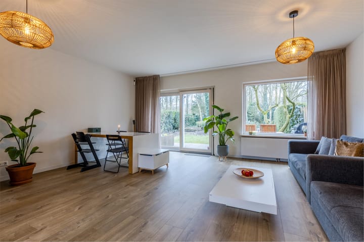 Foto 5 van Buizerd 100