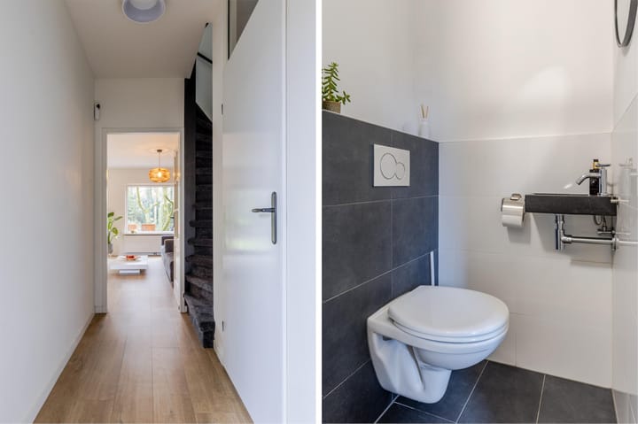 Foto 8 van Buizerd 100