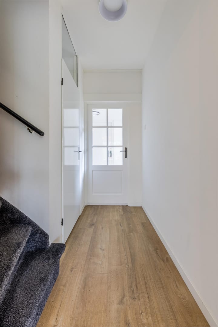 Foto 9 van Buizerd 100