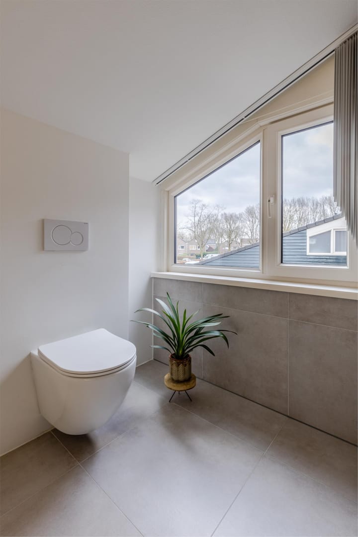 Foto 13 van Buizerd 100