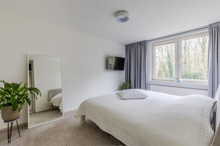 Foto 14 van Buizerd 100