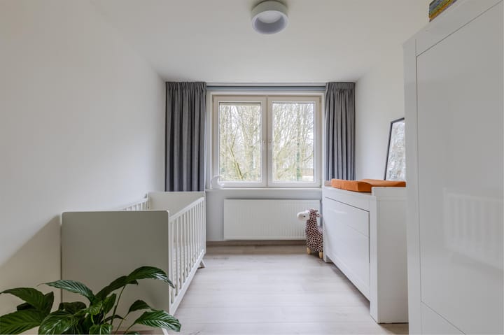 Foto 16 van Buizerd 100