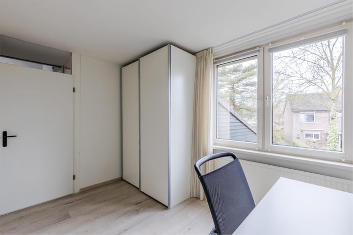 Foto 18 van Buizerd 100