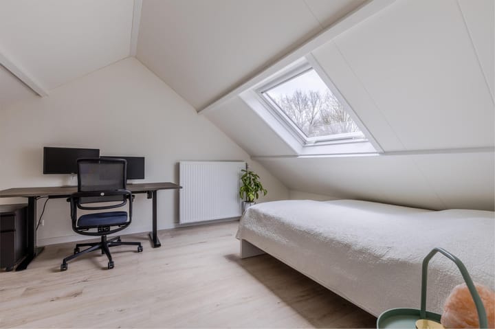 Foto 20 van Buizerd 100