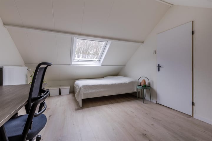 Foto 21 van Buizerd 100