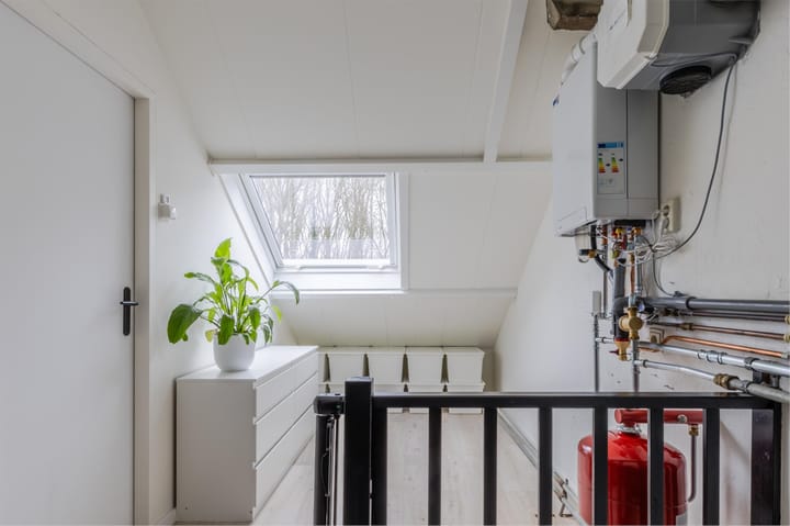 Foto 22 van Buizerd 100