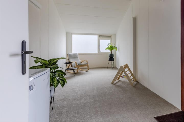 Foto 24 van Buizerd 100