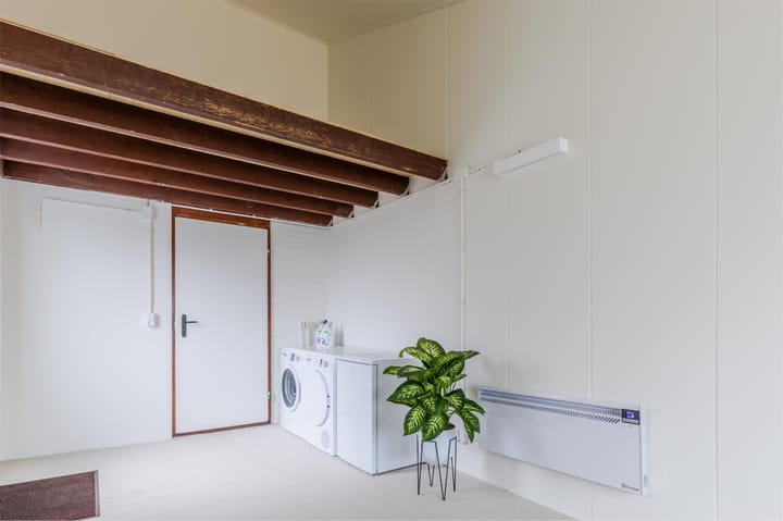 Foto 25 van Buizerd 100