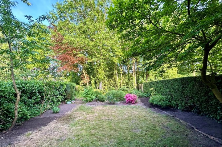 Foto 28 van Buizerd 100