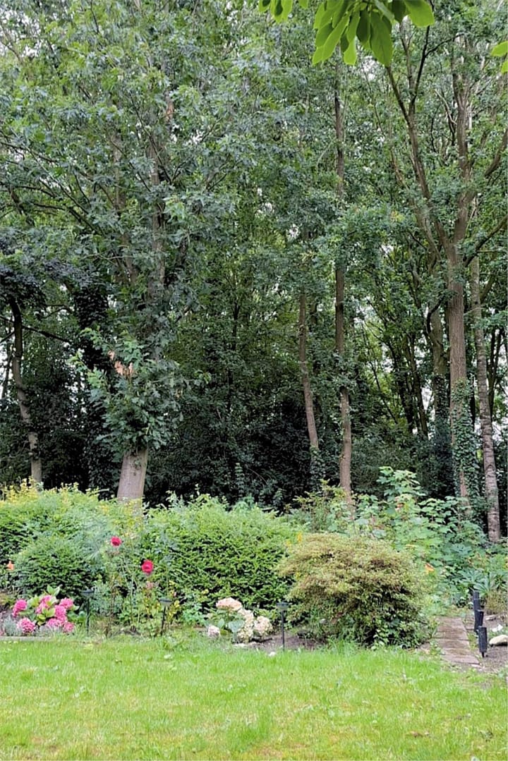 Foto 29 van Buizerd 100