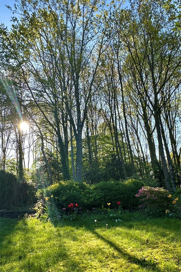 Foto 30 van Buizerd 100