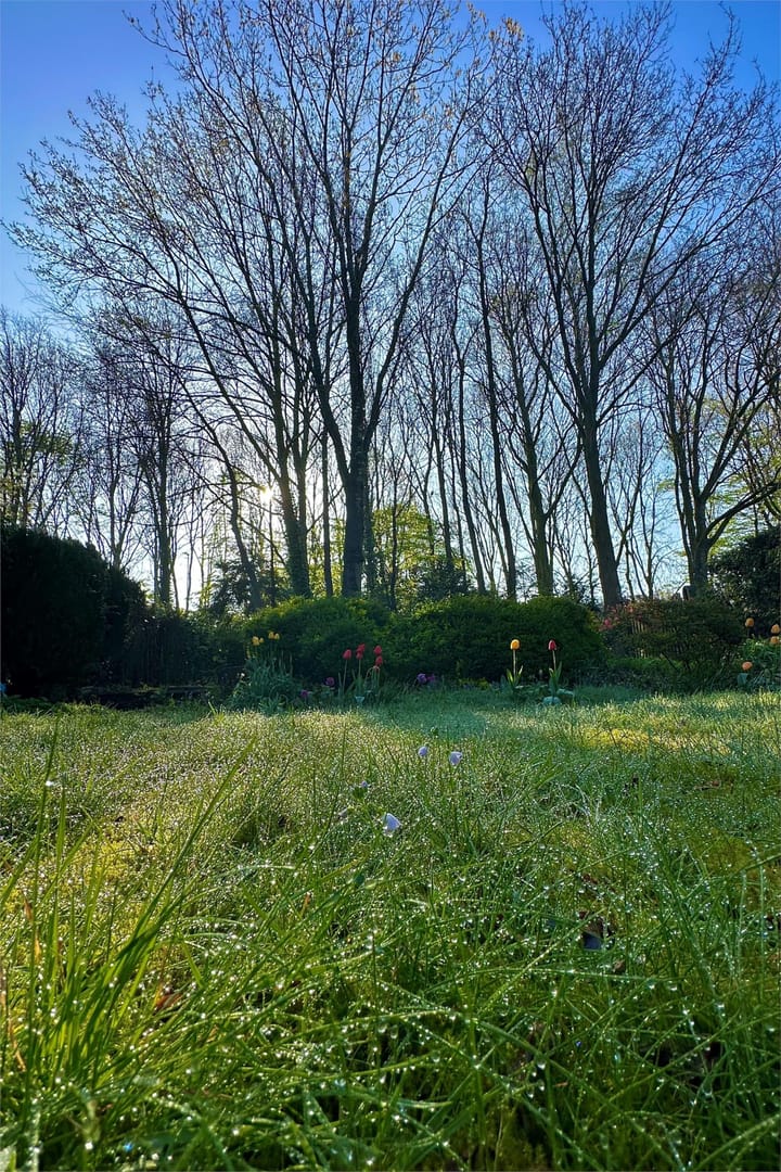 Foto 31 van Buizerd 100