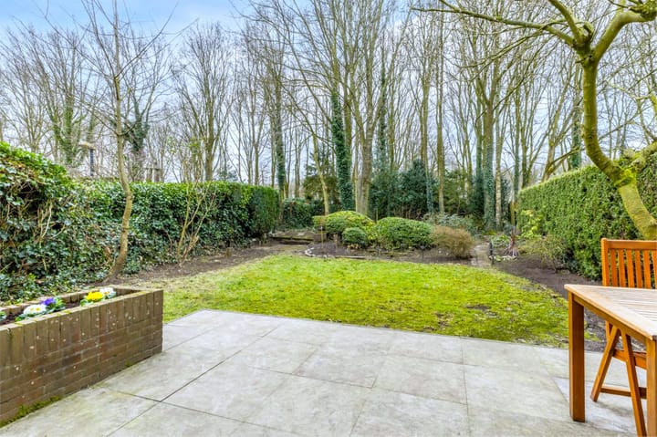 Foto 32 van Buizerd 100