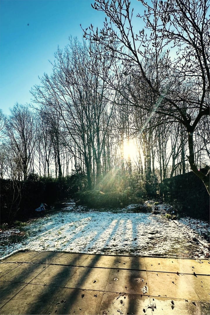 Foto 34 van Buizerd 100