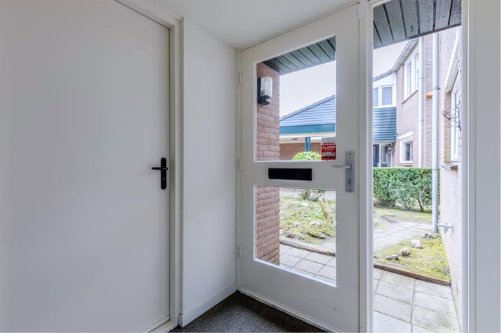 Foto 36 van Buizerd 100