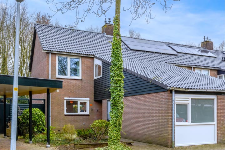 Foto 37 van Buizerd 100