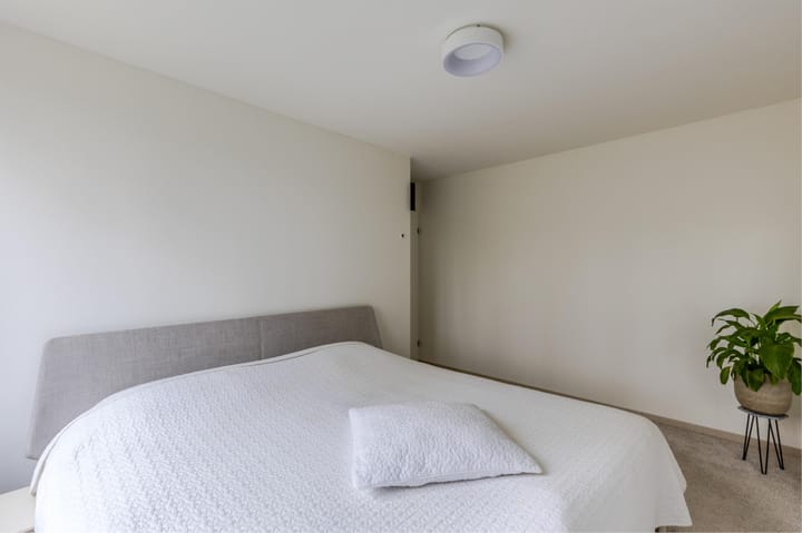 Foto 15 van Buizerd 100