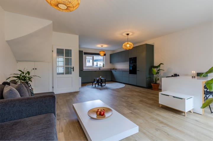 Foto 3 van Buizerd 100