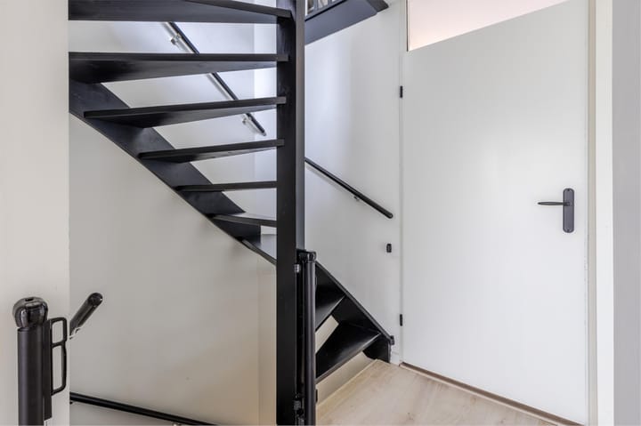 Foto 19 van Buizerd 100