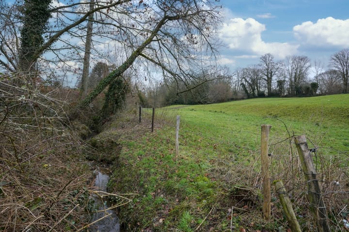 Foto 31 van Rarenderstraat 34