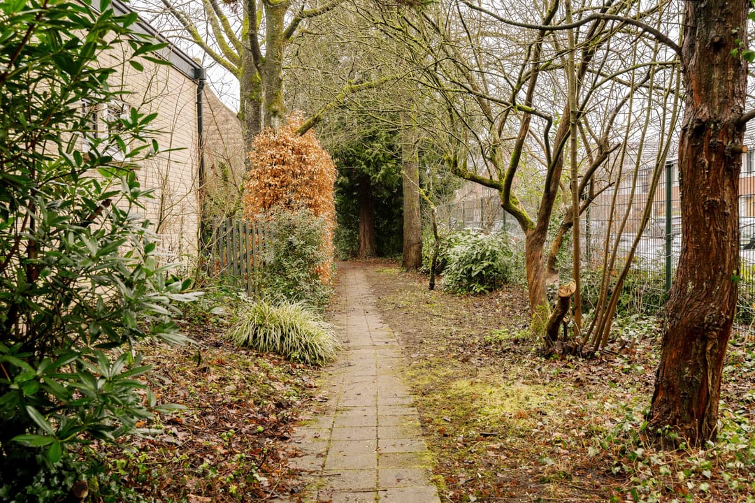 Photo 43 of Rijsenburgselaan 20