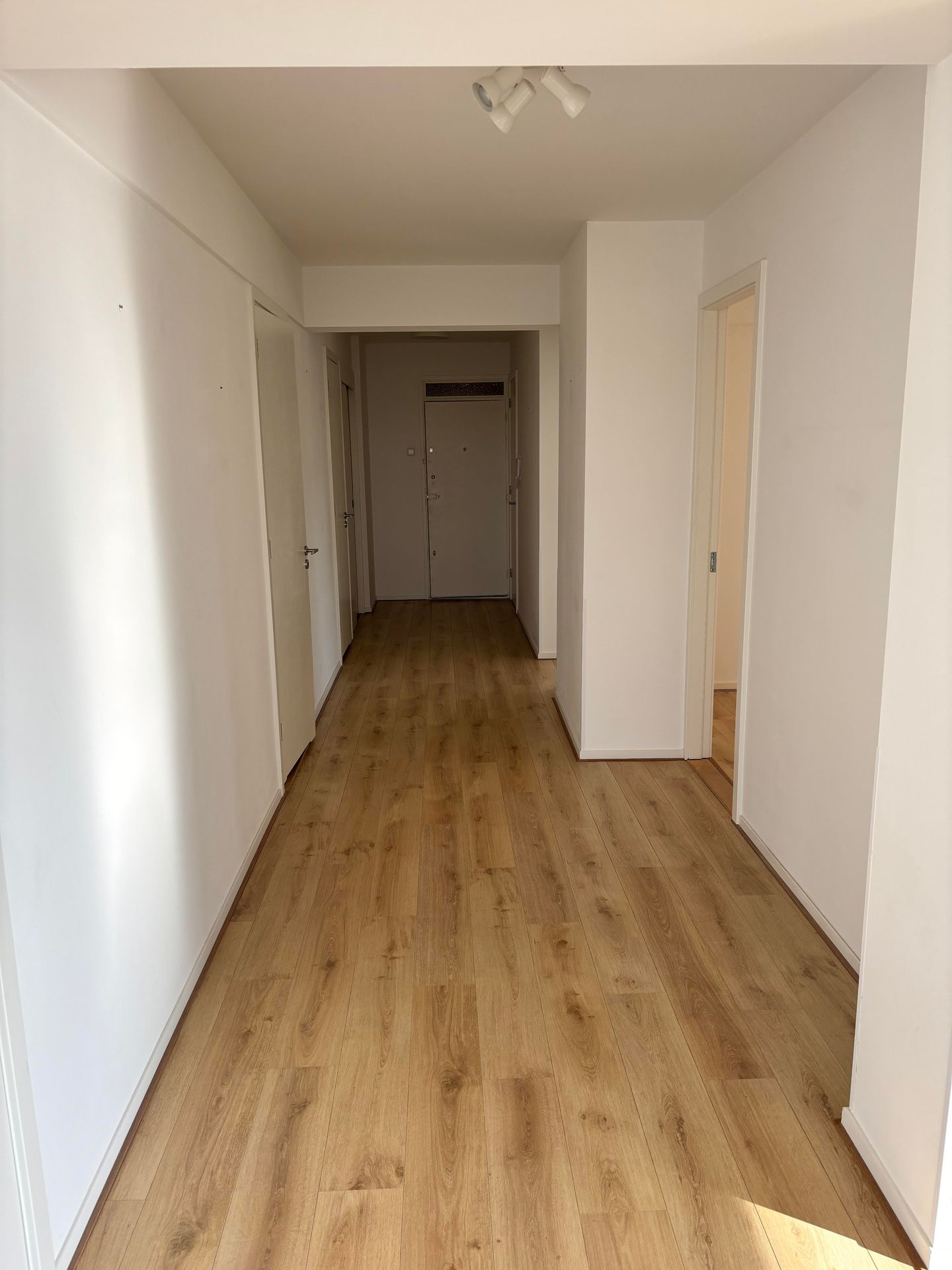 Foto 20 van Meander 61